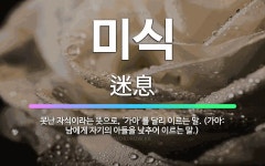 🌟미식: 못난 자식이라는 뜻으로, ‘가아’를 달리 이르는 말. (가아: 남에게 자기의 아들을 낮추어 이르는... - 표준국어대사전