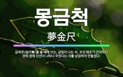 🌟몽금척: 금척무(金尺舞)를 출 때에 쓰는, 금빛이 나는 자. 조선 태조가 건국하기 전에 꿈에 신선이 나타... - 표준국어대사전