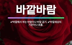 🌟바깥바람: 바깥에서 부는 바람이나 바깥 공기., 바깥세상의 기운이나 흐름. - 표준국어대사전