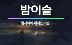 🌟밤이슬: 밤사이에 내리는 이슬. - 표준국어대사전