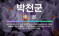 🌟박천군: 평안북도에 있는 군. 농업ㆍ축산업 따위의 산업이 발달하였으며, 주필정(駐蹕亭)ㆍ영천사(靈泉寺)ㆍ... - 표준국어대사전