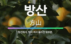 🌟방산: 탕건에서, 턱이 져서 올라간 뒷부분. - 표준국어대사전