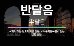 🌟반달음: 허둥지둥하면서 걷는 급한 걸음., 거의 뛰는 정도의 빠른 걸음. - 표준국어대사전
