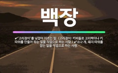 🌟백장: ‘고리장이’를 낮잡아 이르는 말. (고리장이: 키버들로 고리짝이나 키 따위를 만들어 파는 일을 직... - 표준국어대사전