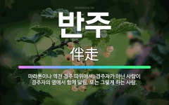 🌟반주: 마라톤이나 역전 경주 따위에서, 경주자가 아닌 사람이 경주자의 옆에서 함께 달림. 또는 그렇게 하... - 표준국어대사전