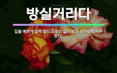 🌟방실거리다: 입을 예쁘게 살짝 벌리고 소리 없이 밝고 보드랍게 자꾸 웃다. - 표준국어대사전