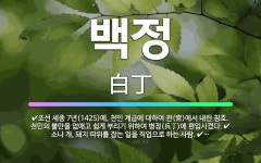 🌟백정: 조선 세종 7년(1425)에, 천민 계급에 대하여 관(官)에서 내린 칭호. 천민의 불만을 없애고 ... - 표준국어대사전