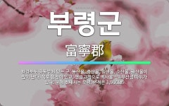 🌟부령군: 함경북도 중동부에 있는 군. 농산물, 축산물, 임산물, 수산물, 광산물이 많이 난다. 옥포 온천... - 표준국어대사전