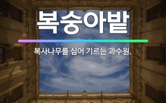 🌟복숭아밭: 복사나무를 심어 기르는 과수원. - 표준국어대사전