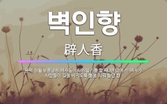 🌟벽인향: 음력 정월 보름날에 여자들이 다리밟기를 할 때, 맨 앞에 선 여자가 사람들이 길을 비키도록 불을... - 표준국어대사전