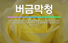 🌟버금막청: 여성의 소프라노와 알토의 중간 음역(音域). 또는 그 음역의 가수. 대개 시(C) 음 아래의 ... - 표준국어대사전