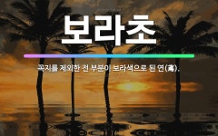 🌟보라초: 꼭지를 제외한 전 부분이 보라색으로 된 연(鳶). - 표준국어대사전