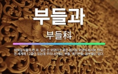 🌟부들과: 외떡잎식물의 한 과. 잎은 선 모양이고 꽃은 원기둥 모양의 화서로 핀다. 전 세계에 12종이 있... - 표준국어대사전