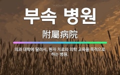 🌟부속 병원: 의과 대학에 딸려서, 환자 치료와 의학 교육을 목적으로 하는 병원. - 표준국어대사전