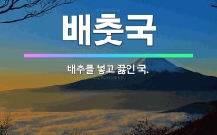 🌟배춧국: 배추를 넣고 끓인 국. - 표준국어대사전