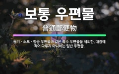 🌟보통 우편물: 등기ㆍ소포ㆍ항공 우편물과 같은 특수 우편물을 제외한, 대장에 적어 다루지 아니하는 일반 우편물. - 표준국어대사전