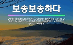 🌟보송보송하다: 살결이나 얼굴이 곱고 보드랍다., 잘 말라서 물기가 없고 보드랍다., 솜털과 같이 매우 작... - 표준국어대사전