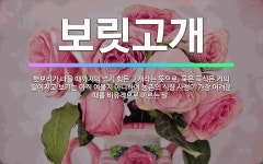 🌟보릿고개: 햇보리가 나올 때까지의 넘기 힘든 고개라는 뜻으로, 묵은 곡식은 거의 떨어지고 보리는 아직 여... - 표준국어대사전