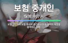 🌟보험 중개인: 보험 가입자와 보험 회사의 중간에서 보험 계약의 체결을 중개하는 사람. - 표준국어대사전