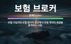 🌟보험 브로커: 보험 가입자와 보험 회사의 중간에서 보험 계약의 체결을 중개하는 사람. - 표준국어대사전