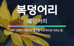 🌟복덩어리: 매우 귀중한 사람이나 물건을 비유적으로 이르는 말. - 표준국어대사전