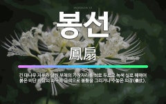 🌟봉선: 긴 대나무 자루가 달린 부채의 가장자리를 쇠로 두르고 녹색 실로 꿰매어 붉은 비단 바탕의 좌우에 ... - 표준국어대사전