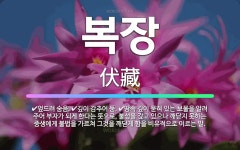 🌟복장: 깊이 감추어 둠., 땅속 깊이 묻혀 있는 보물을 알려 주어 부자가 되게 한다는 뜻으로, 불성을 갖... - 표준국어대사전