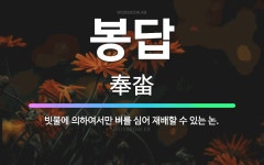 🌟봉답: 빗물에 의하여서만 벼를 심어 재배할 수 있는 논. - 표준국어대사전