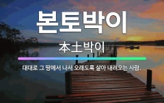 🌟본토박이: 대대로 그 땅에서 나서 오래도록 살아 내려오는 사람. - 표준국어대사전