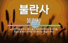 🌟불란사: 서양 직물의 하나. 몹시 얇고 하르르하면서도 질겨 여름 옷감으로 쓴다., 서양 자수에 쓰는 색실... - 표준국어대사전