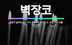 🌟벽장코: 콧등이 넓적하고 그 가가 우묵하게 들어간 코. 또는 그런 코를 가진 사람. - 표준국어대사전