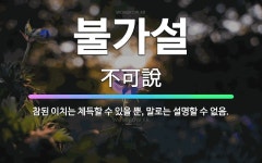 🌟불가설: 참된 이치는 체득할 수 있을 뿐, 말로는 설명할 수 없음. - 표준국어대사전