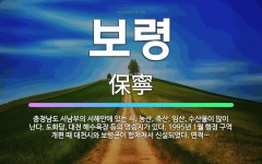 🌟보령: 충청남도 서남부의 서해안에 있는 시. 농산, 축산, 임산, 수산물이 많이 난다. 도화담, 대천 해... - 표준국어대사전