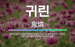 🌟귀린: 밤에 무덤이나 축축한 땅 또는 고목이나 낡고 오래된 집에서 인 따위의 작용으로 저절로 번쩍이는 푸... - 표준국어대사전
