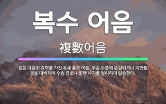 🌟복수 어음: 같은 내용과 효력을 가진 두세 통의 어음. 우송 도중에 분실되거나 지연될 것을 대비하여 수송... - 표준국어대사전