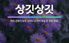🌟상깃상깃: 여러 군데가 모두 사이나 간격이 조금 뜬 듯한 모양. - 표준국어대사전