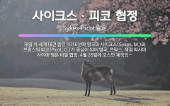 🌟사이크스ㆍ피코 협정: 제일 차 세계 대전 중인 1916년에 영국의 사이크스(Sykes, M.)와 프랑스의... - 표준국어대사전