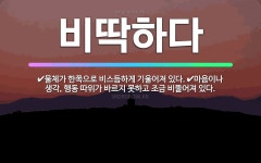 🌟비딱하다: 물체가 한쪽으로 비스듬하게 기울어져 있다., 마음이나 생각, 행동 따위가 바르지 못하고 조금 ... - 표준국어대사전
