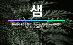 🌟샘: 몸속에서 물질을 분비ㆍ배설하는 기능을 하는 세포들이 유기적으로 얽혀 있는 것. - 표준국어대사전