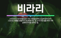 🌟비라리: 곡식이나 천 따위를 많이 가진 사람들로부터 조금씩 얻어 모아 그것으로 제물을 만들어서 귀신에게 ... - 표준국어대사전