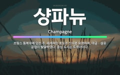 🌟샹파뉴: 프랑스 동북부에 있는 주. 세계적인 포도주 산지로 유명하며, 야금ㆍ섬유 공업이 발달하였다. 중심... - 표준국어대사전