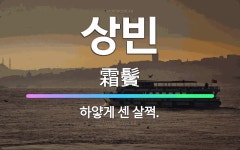 🌟상빈: 하얗게 센 살쩍. - 표준국어대사전
