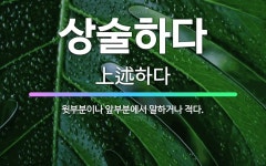 🌟상술하다: 윗부분이나 앞부분에서 말하거나 적다. - 표준국어대사전