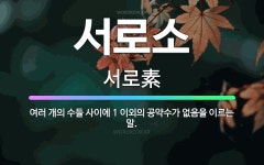 🌟서로소: 여러 개의 수들 사이에 1 이외의 공약수가 없음을 이르는 말. - 표준국어대사전