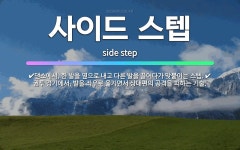 🌟사이드 스텝: 댄스에서, 한 발을 옆으로 내고 다른 발을 끌어다가 맞붙이는 스텝., 권투 경기에서, 발을... - 표준국어대사전