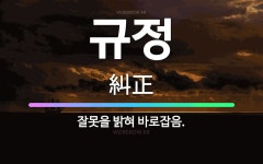 🌟규정: 잘못을 밝혀 바로잡음. - 표준국어대사전