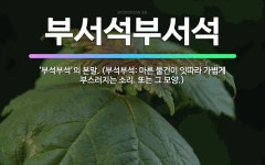 🌟부서석부서석: ‘부석부석’의 본말. (부석부석: 마른 물건이 잇따라 가볍게 부스러지는 소리. 또는 그 모양.) - 표준국어대사전