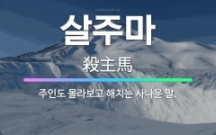 🌟살주마: 주인도 몰라보고 해치는 사나운 말. - 표준국어대사전