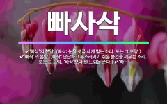 🌟빠사삭: ‘빠삭’의 본말. (빠삭: 가랑잎이나 마른 검불 따위의 잘 마른 물건을 가볍게 밟는 소리. 또는... - 표준국어대사전