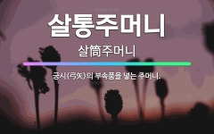🌟살통주머니: 궁시(弓矢)의 부속품을 넣는 주머니. - 표준국어대사전